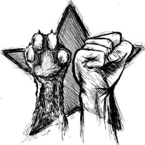 10407417_424708411030202_1576209137119268205_n