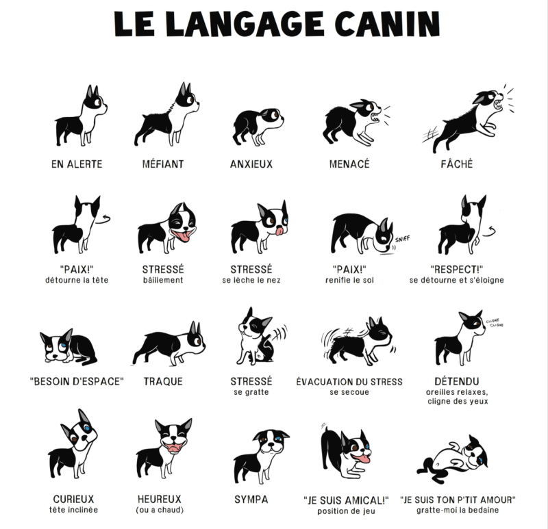 Capture d_écran 2017-10-30 à 16.10.45