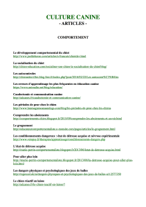 Capture d_écran 2017-10-30 à 17.40.59